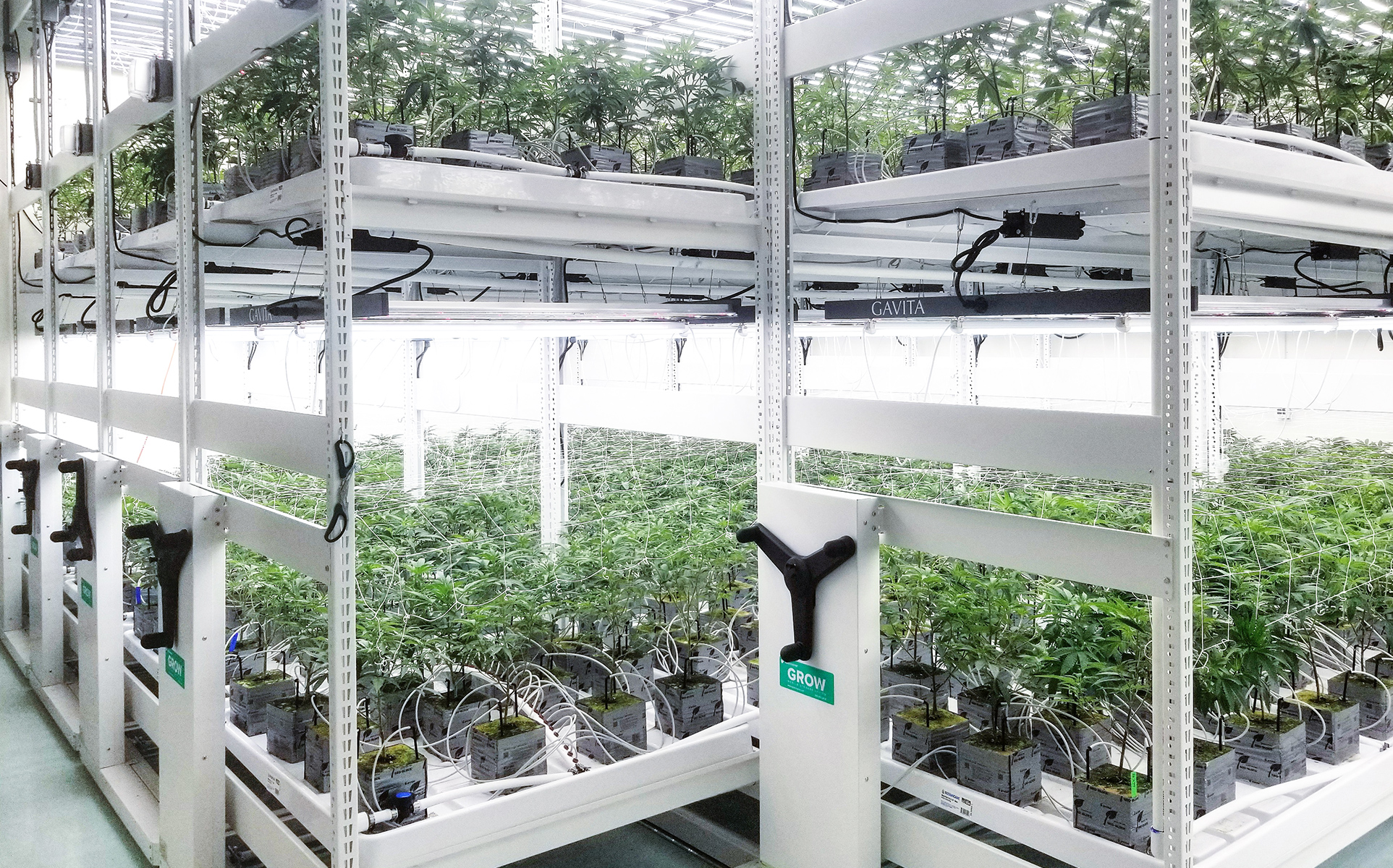 2 tier cannabis indoor farming racking system