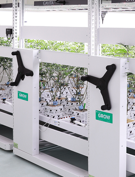 anti-tip vertical growing mobile system