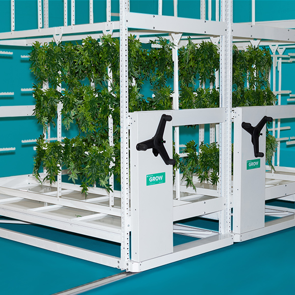 cannabis drying mobile shelving system