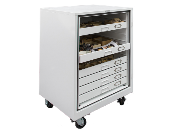 mobile caster museum cabinets