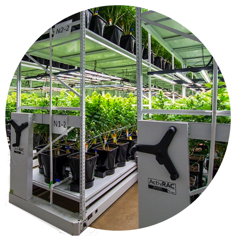 grow cannabis mobile  system
